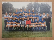 FSV Frankfurt 1981/82 –