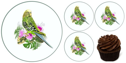 Vogel wellensittich eßbar - vogel,
