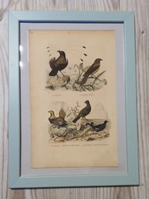 1852 Lithographie Kunstdruck