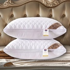 Luxus gesteppte Kissen alle Jahreszeiten2PCS 4PCS Home Soft Hotel Qualität Bett 