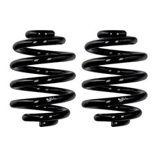 Fahrwerksfedern-Set hinten Ø