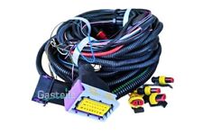 KME Diego G3 Kabelbaum 4 Zylinder Wiring Harness Neu LPG GPL