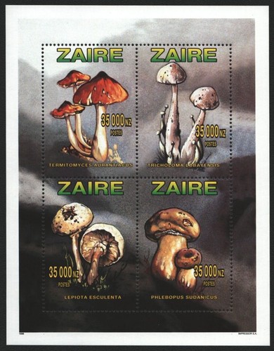 Kongo zaire 1996 - 1996,
