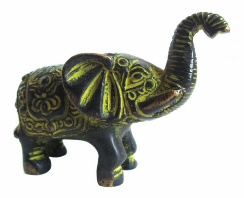 Wunderschöner elefant aus - elefant,
