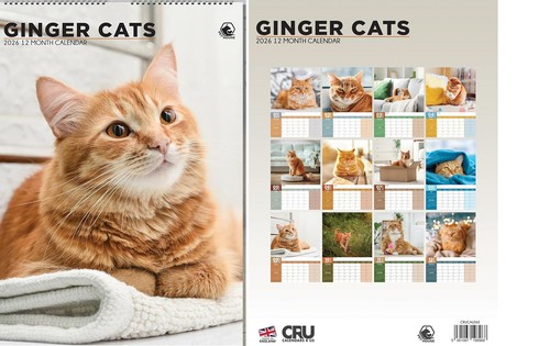 Ginger cats 2026 kalender - ginger,
