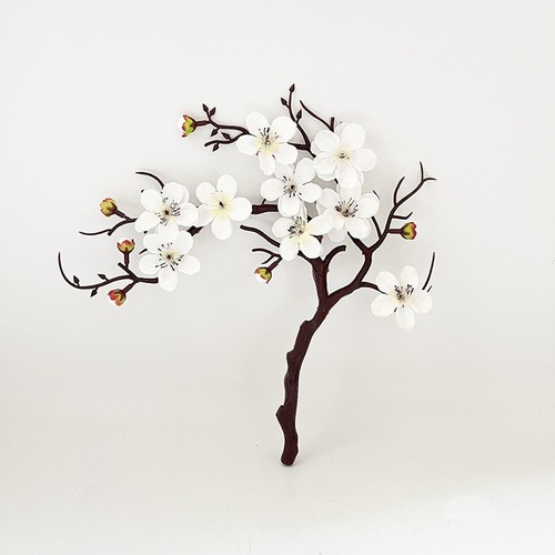 Pflaumenblüte bonsai - pflaumenblüte,