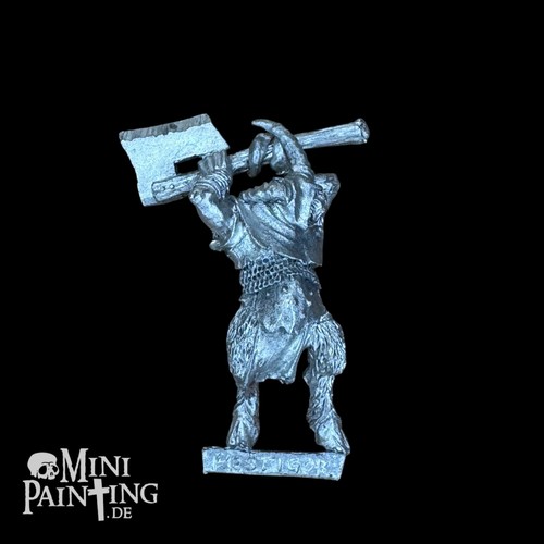 Warhammer pestigors pestigor - warhammer,