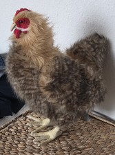 Huhn Hansa Creation Stofftier