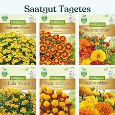 Tagetes Studentenblume Saatgut verschiedene Sorten Blumensamen 