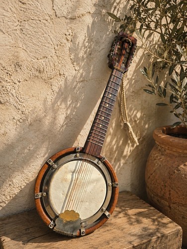 Vintage string banjo - vintage, 8