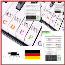 Farbige Klavier-Tasten