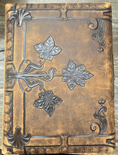 Fotoalbum Antik mit 30 Fotographien Karbinetfotos  um 1880-1900