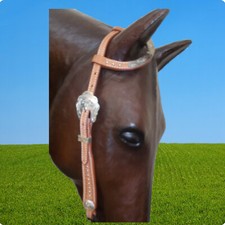 Einohr Western Show Trense 1