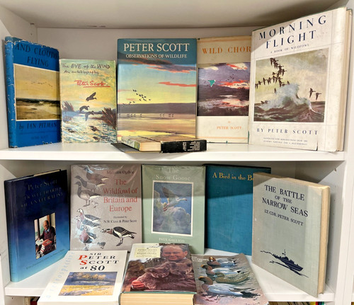 Peter scott wildlife natural - peter,