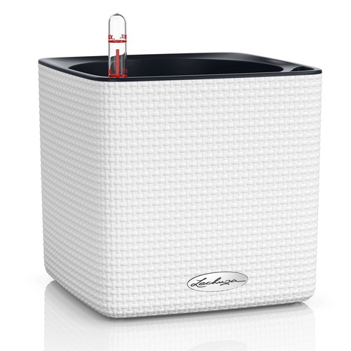 Lechuza cube color - cube,