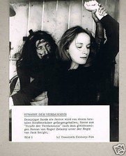 PF Strasse der Verdammnis (