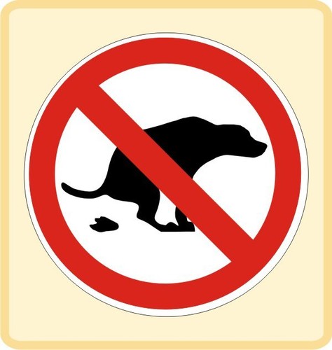 Hier nicht hundekot kacke - hier,