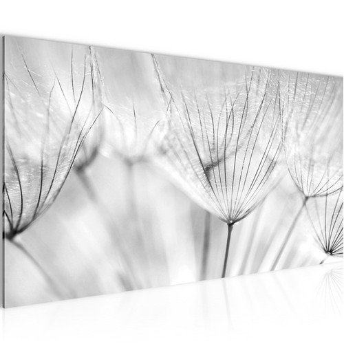 Wandbild pusteblume bilder xxl - wandbild,