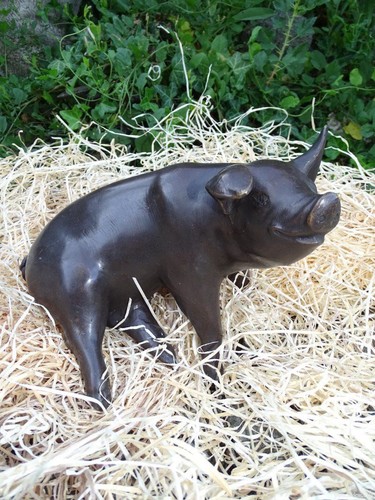 Bronzefigur hausschwein piggy - hausschwein,