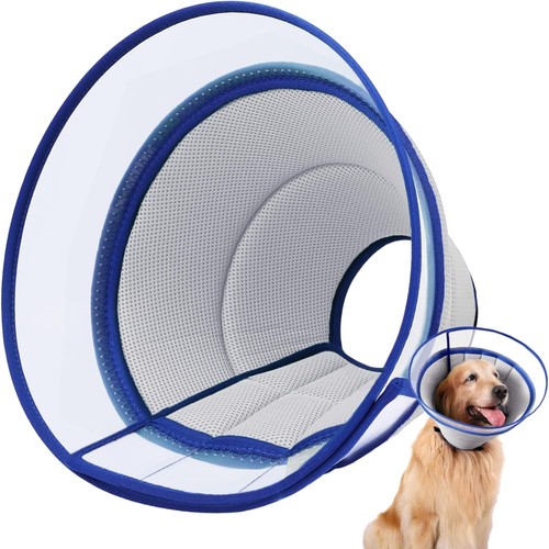 Hund halskrause leckschutz - hund,