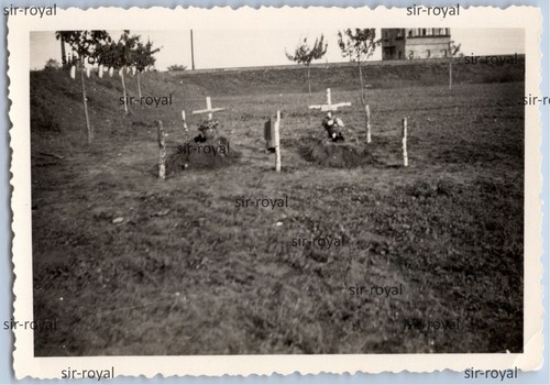 Polen feldzug 1939 xvi - 1939, xvi.