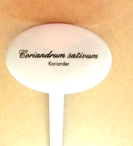 Kräuterschild oval porzellan - kräuterschild, oval,