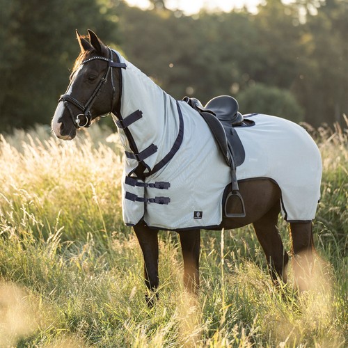 Imperial riding - imperial,