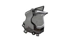 Carbon Ritzelabdeckung für