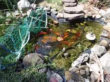 Gartenteich - Zubehör Bachlaufelemente Glasfaser (GFK) + UV Filter neu TOP!