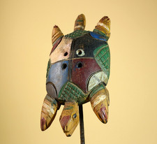 Afrikanische Schildkröte