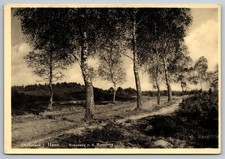 AK Dorfmark i. Hann Birkenweg