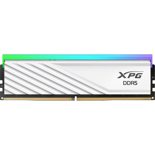 Adata dimm ddr5 6000 - dimm, 16