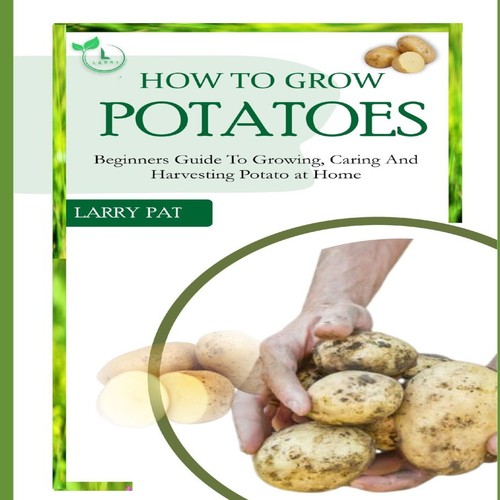 How grow potatoes beginners - grow,