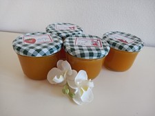selbstgemachte  Mango