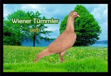 Fußmatte Schmutzfangmatte