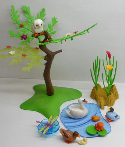 Schwan enten frosch teich - frosch,
