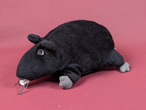 Ikea ratte gosig ratta - ikea, ❤️gosig