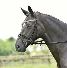 Warmblut Trense von Busse