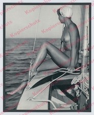 or. Foto József Németh Frau