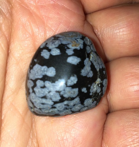 Schneeflocke obsidian - schneeflocke,