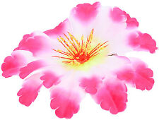 Große Tiki DAHLIEN Flower