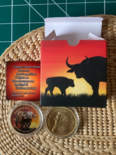Südafrika 2019 1oz - südafrika,, 2019,