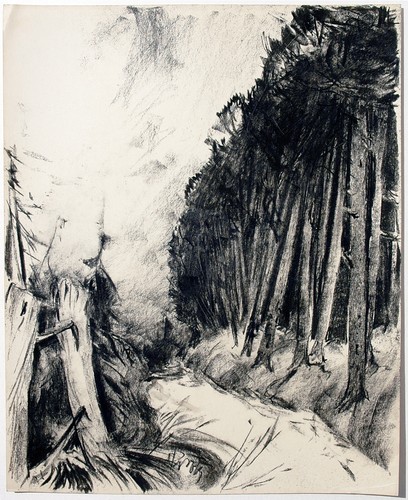 Märkische landschaft - märkische,