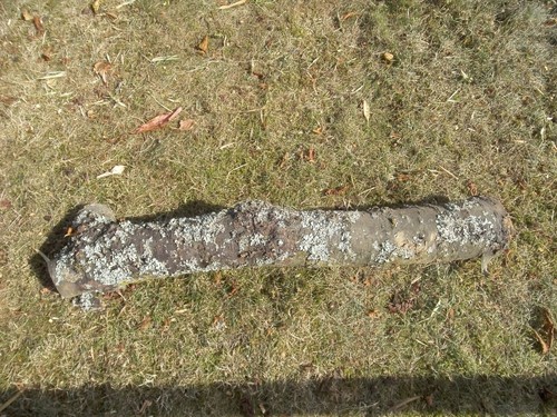 Baumstamm kirschholz 70 cm - ca.,