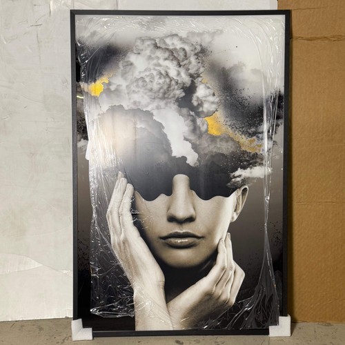 Sunpan beautiful mind framed - sunpan,