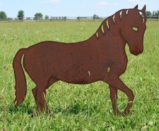 Edelrost pferd andalusier - pferd,