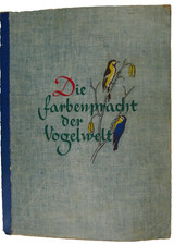 Die Farbenpracht der Vogelwelt