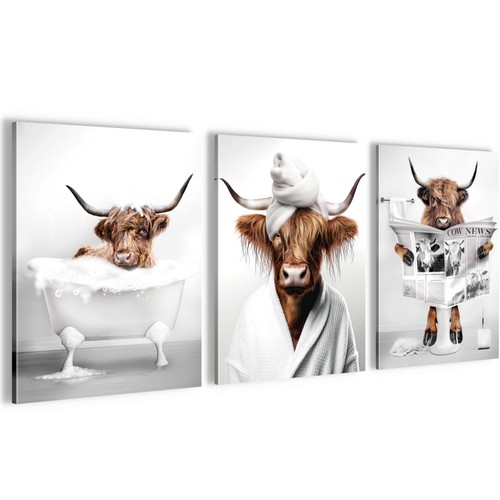 Wandbilder set lustige tiere - wandbilder,