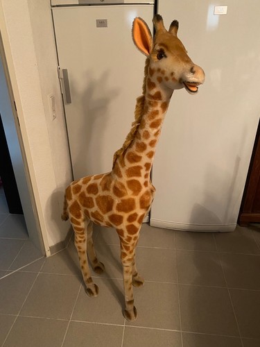 Steiff studio giraffe - steiff, cm