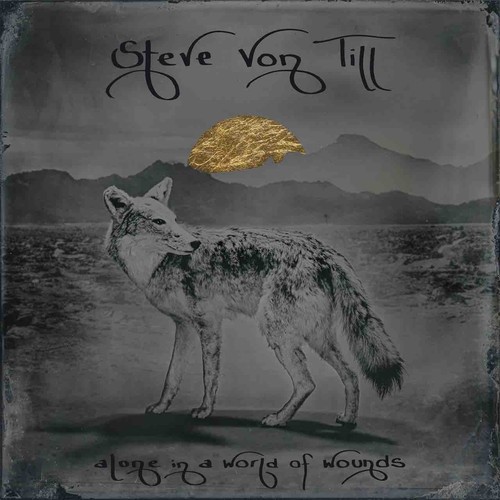 Steve von till alone a - steve, till: